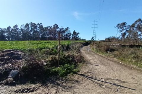 Helårsgrund i Barcelos, Braga, Barcelos - € 55.000 | Ref: 254260327 - foto 5