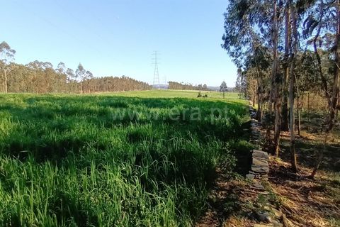 Helårsgrund i Barcelos, Braga, Barcelos - € 55.000 | Ref: 254260327 - foto 7