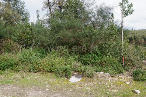 Helårsgrund i Barcelos, Braga, Barcelos - € 120.000 | Ref: 254260255 - foto 4