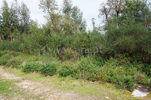 Helårsgrund i Barcelos, Braga, Barcelos - € 120.000 | Ref: 254260255 - foto 5