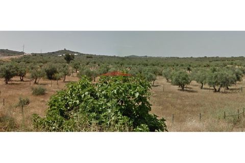 Terra a Vila Vicosa, Evora, Vila Vicosa - € 15.000 | Ref: 221124 - foto 3