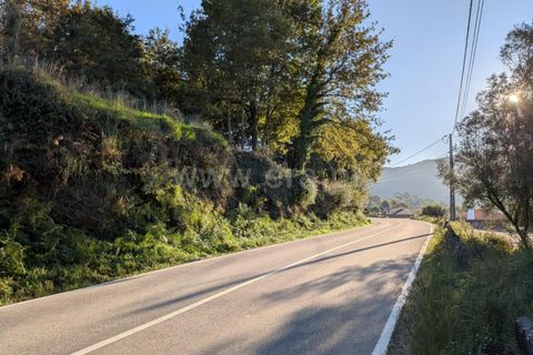 Helårsgrund i Ponte de Lima, Viana do Castelo, Ponte de Lima - € 161.000 | Ref: 254260480 - foto 4