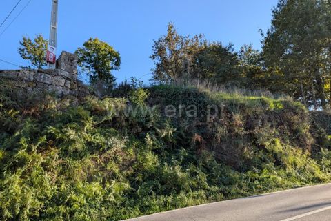 Helårsgrund i Ponte de Lima, Viana do Castelo, Ponte de Lima - € 161.000 | Ref: 254260480 - foto 5