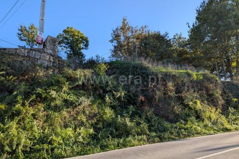 Helårsgrund i Ponte de Lima, Viana do Castelo, Ponte de Lima - € 161.000 | Ref: 254260480 - foto 6