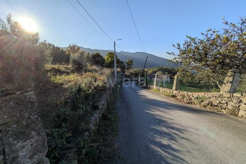Helårsgrund i Ponte de Lima, Viana do Castelo, Ponte de Lima - € 161.000 | Ref: 254260480 - foto 9