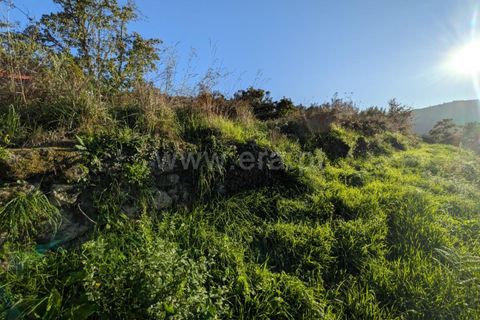Helårsgrund i Ponte de Lima, Viana do Castelo, Ponte de Lima - € 161.000 | Ref: 254260480 - foto 10