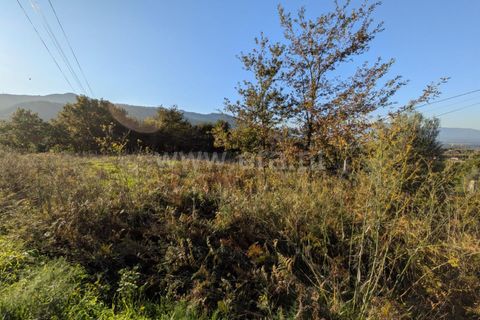 Helårsgrund i Ponte de Lima, Viana do Castelo, Ponte de Lima - € 161.000 | Ref: 254260480 - foto 11