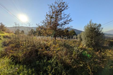 Helårsgrund i Ponte de Lima, Viana do Castelo, Ponte de Lima - € 161.000 | Ref: 254260480 - foto 12