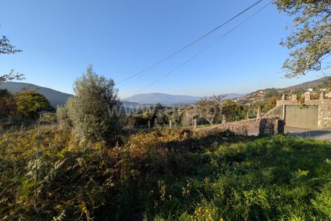 Helårsgrund i Ponte de Lima, Viana do Castelo, Ponte de Lima - € 161.000 | Ref: 254260480 - foto 13