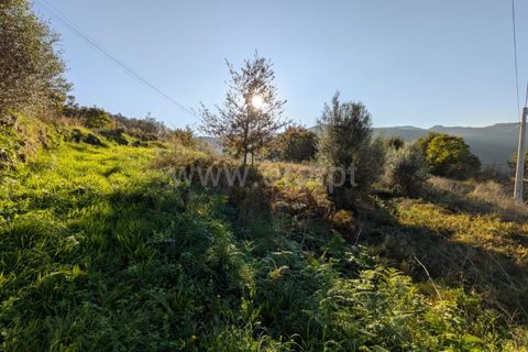 Helårsgrund i Ponte de Lima, Viana do Castelo, Ponte de Lima - € 161.000 | Ref: 254260480 - foto 14