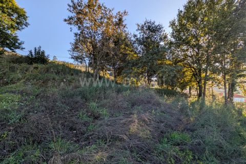 Helårsgrund i Ponte de Lima, Viana do Castelo, Ponte de Lima - € 161.000 | Ref: 254260480 - foto 17