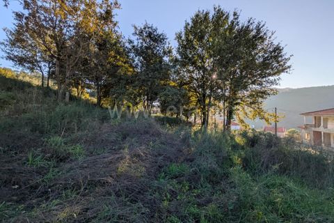 Helårsgrund i Ponte de Lima, Viana do Castelo, Ponte de Lima - € 161.000 | Ref: 254260480 - foto 18