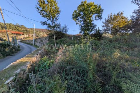Helårsgrund i Ponte de Lima, Viana do Castelo, Ponte de Lima - € 161.000 | Ref: 254260480 - foto 19
