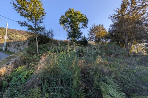 Helårsgrund i Ponte de Lima, Viana do Castelo, Ponte de Lima - € 161.000 | Ref: 254260480 - foto 20