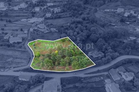 Helårsgrund i Ponte de Lima, Viana do Castelo, Ponte de Lima - € 161.000 | Ref: 254260480 - foto 22
