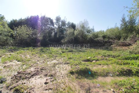 Helårsgrund i Vila Verde, Braga, Vila Verde - € 130.000 | Ref: 254260339 - foto 6