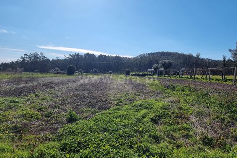 Helårsgrund i Barcelos, Braga, Barcelos - € 25.000 | Ref: 254260468 - foto 2