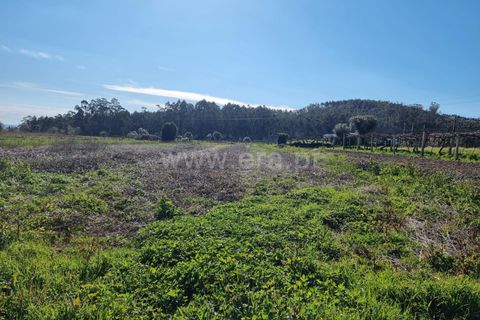 Helårsgrund i Barcelos, Braga, Barcelos - € 25.000 | Ref: 254260468 - foto 3