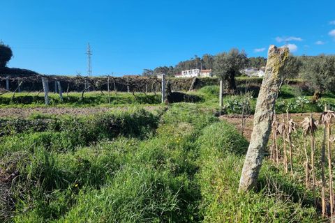 Helårsgrund i Barcelos, Braga, Barcelos - € 25.000 | Ref: 254260468 - foto 4