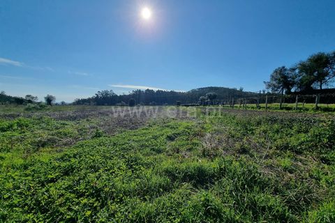 Helårsgrund i Barcelos, Braga, Barcelos - € 25.000 | Ref: 254260468 - foto 5