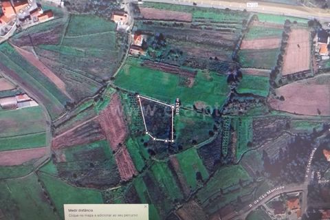 Terrain - Barcelos, Braga, Barcelos - € 25 000 | Réf : 254260468 - photo 6