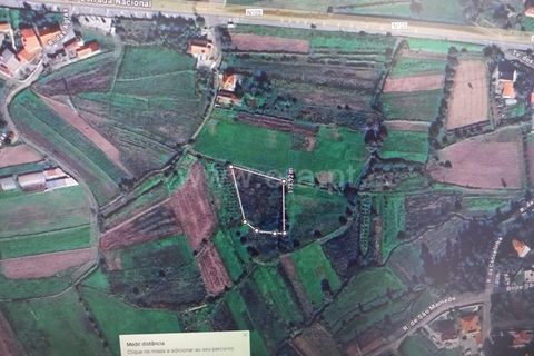 Terrain - Barcelos, Braga, Barcelos - € 25 000 | Réf : 254260468 - photo 7