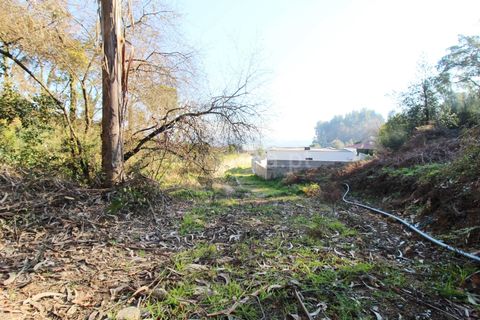 Helårsgrund i Barcelos, Braga, Barcelos - € 10.000 | Ref: 254260319 - foto 3