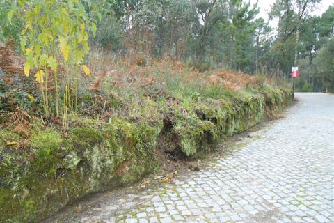 Helårsgrund i Barcelos, Braga, Barcelos - € 52.500 | Ref: 254260248 - foto 3
