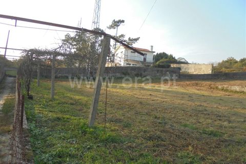 Helårsgrund i Barcelos, Braga, Barcelos - € 65.000 | Ref: 254260229 - foto 2