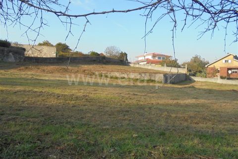 Helårsgrund i Barcelos, Braga, Barcelos - € 65.000 | Ref: 254260229 - foto 3
