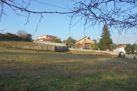 Helårsgrund i Barcelos, Braga, Barcelos - € 65.000 | Ref: 254260229 - foto 5