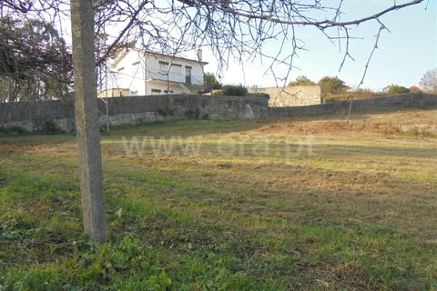 Helårsgrund i Barcelos, Braga, Barcelos - € 65.000 | Ref: 254260229 - foto 6