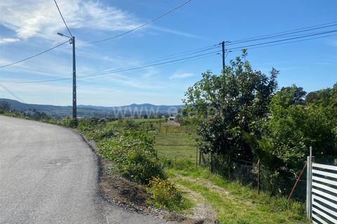 Helårsgrund i Barcelos, Braga, Barcelos - € 98.000 | Ref: 254260605 - foto 2