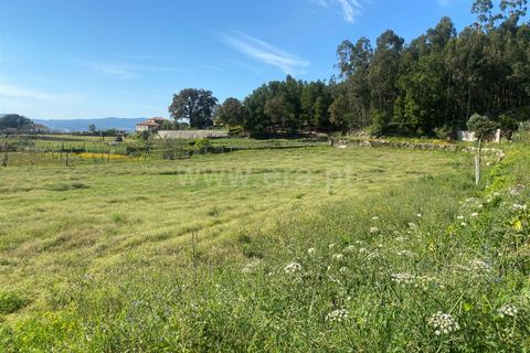 Helårsgrund i Barcelos, Braga, Barcelos - € 98.000 | Ref: 254260605 - foto 10