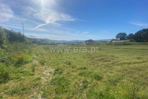 Helårsgrund i Barcelos, Braga, Barcelos - € 98.000 | Ref: 254260605 - foto 12