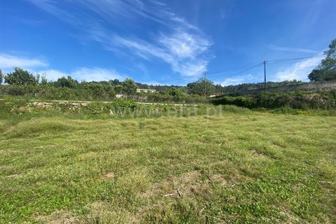 Helårsgrund i Barcelos, Braga, Barcelos - € 98.000 | Ref: 254260605 - foto 19