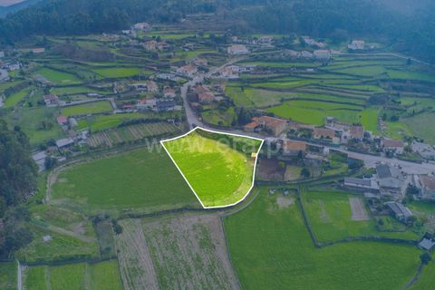 Helårsgrund i Barcelos, Braga, Barcelos - € 98.000 | Ref: 254260605 - foto 21