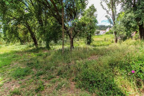 Helårsgrund i Barcelos, Braga, Barcelos - € 160.000 | Ref: 254260328 - foto 6
