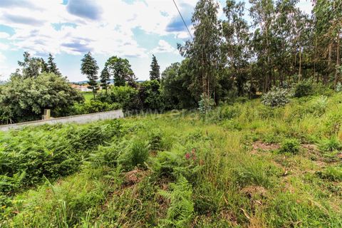 Helårsgrund i Barcelos, Braga, Barcelos - € 160.000 | Ref: 254260328 - foto 8