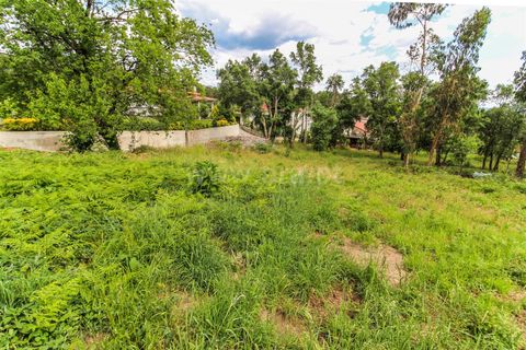 Helårsgrund i Barcelos, Braga, Barcelos - € 160.000 | Ref: 254260328 - foto 9