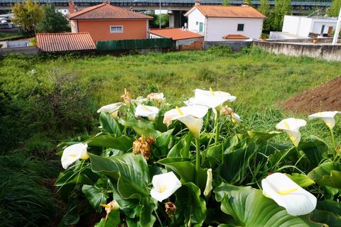 Helårsgrund i Barcelos, Braga, Barcelos - € 65.000 | Ref: 254260318 - foto 3