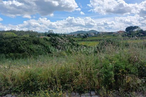 Helårsgrund i Barcelos, Braga, Barcelos - € 190.000 | Ref: 254260470 - foto 5