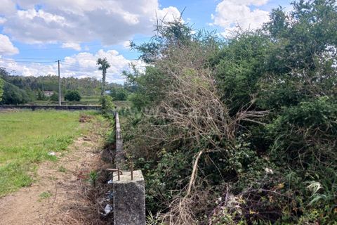 Helårsgrund i Barcelos, Braga, Barcelos - € 190.000 | Ref: 254260470 - foto 7