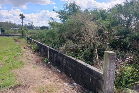 Helårsgrund i Barcelos, Braga, Barcelos - € 190.000 | Ref: 254260470 - foto 8