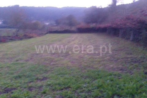 Helårsgrund i Barcelos, Braga, Barcelos - € 34.000 | Ref: 254260382 - foto 2