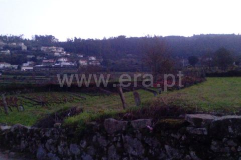 Helårsgrund i Barcelos, Braga, Barcelos - € 34.000 | Ref: 254260382 - foto 3