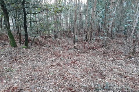 Helårsgrund i Barcelos, Braga, Barcelos - € 85.000 | Ref: 254260448 - foto 3