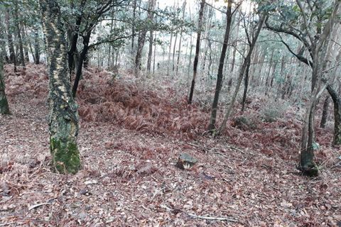 Helårsgrund i Barcelos, Braga, Barcelos - € 85.000 | Ref: 254260448 - foto 4