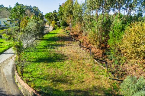 Helårsgrund i Barcelos, Braga, Barcelos - € 64.000 | Ref: 254260503 - foto 3