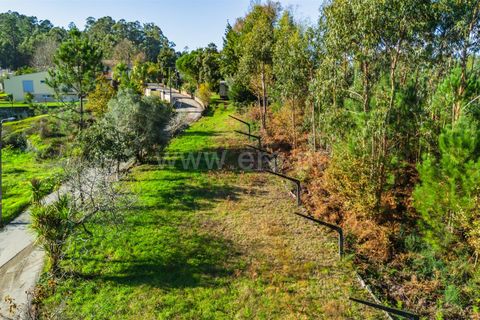 Helårsgrund i Barcelos, Braga, Barcelos - € 64.000 | Ref: 254260503 - foto 10